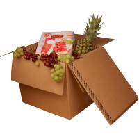 BOXXcool folding boxes with honeycomb inlay | 387x322x325 mm | 40 liters