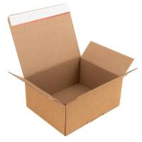 Automatic bottom cartons with tear-open perforation 160x130x70 mm