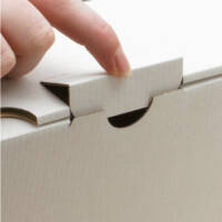 BIANCO Filing box 250x70x324 mm (DIN A4+)