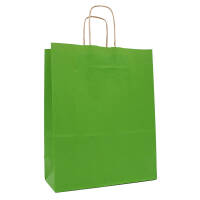 Paper carrier bags 180x80x220 mm|ribbed|green