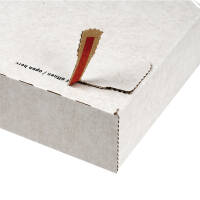 Courier shipping with self-adhesive seal 244x344x45 mm