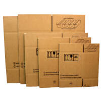 Dangerous goods packaging 325x245x300 mm