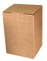 Cartons Bag-in-Box indiv. standard print 3 litres, 2c print